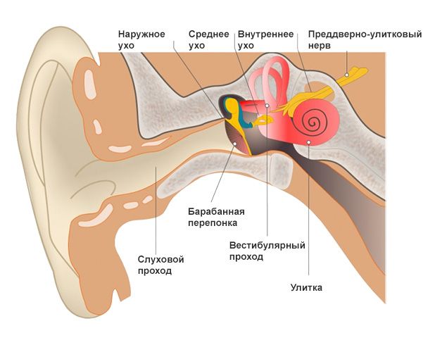 Боли в ушах при головной боли